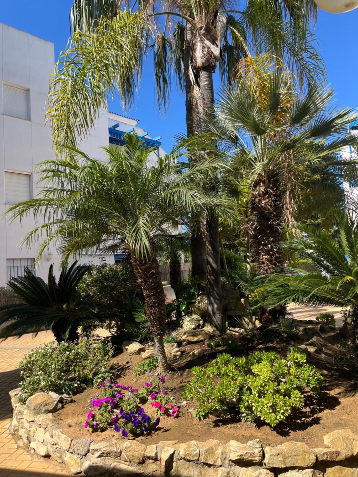 Apartamento En Costa Ballena, Urb. Playa Ballena Cadice Esterno foto